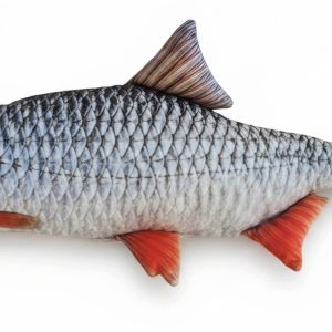 Poduszka ryba płotka