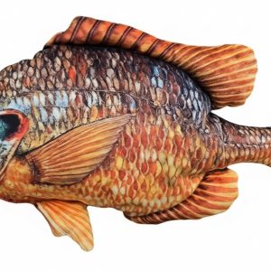 Bass