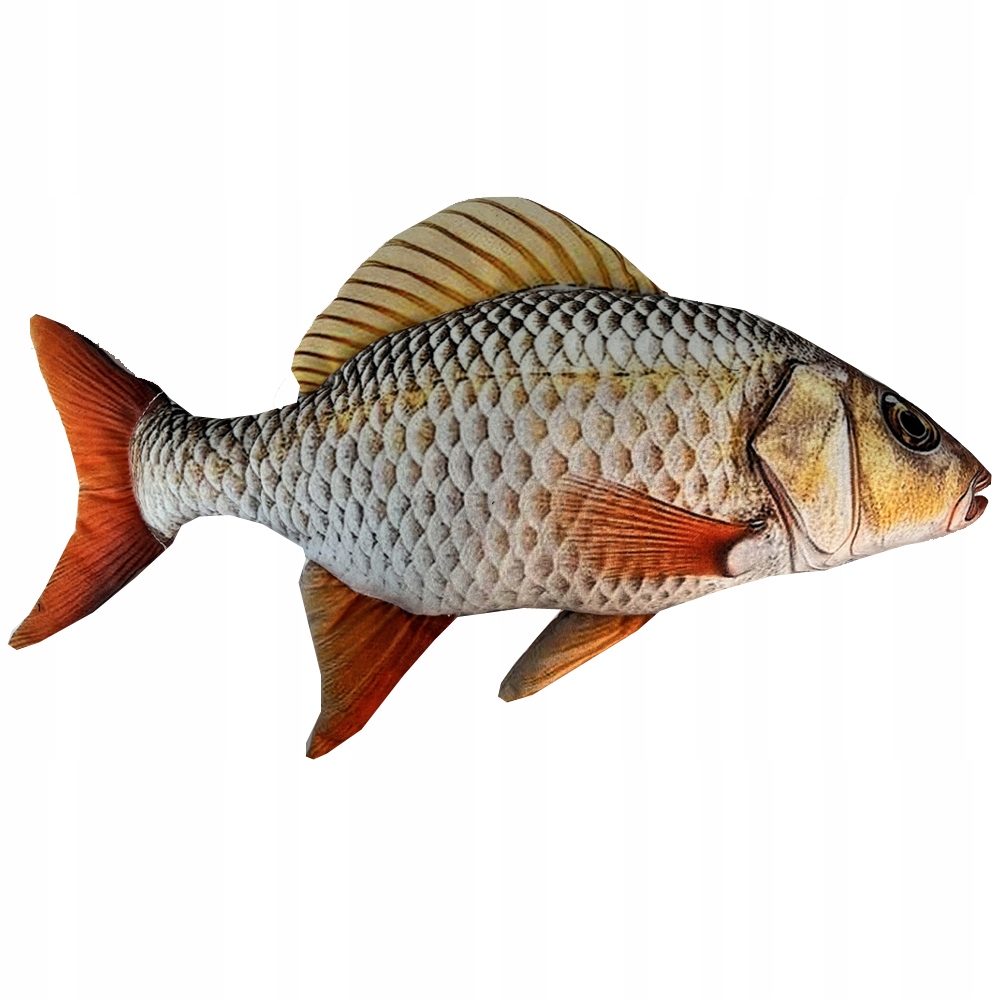 karaś