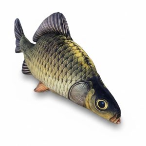 Karp pelnołuski