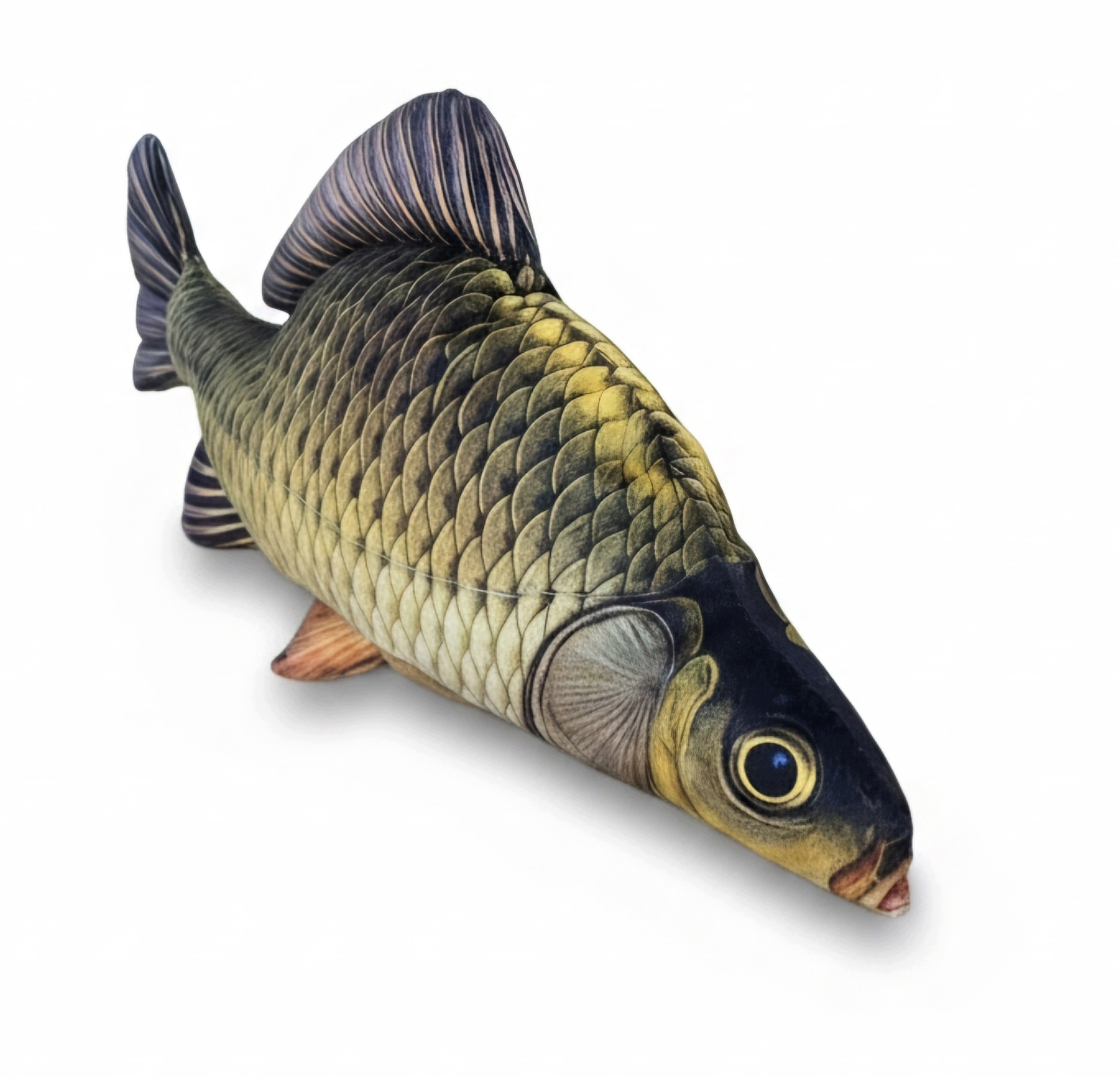 Karp pelnołuski